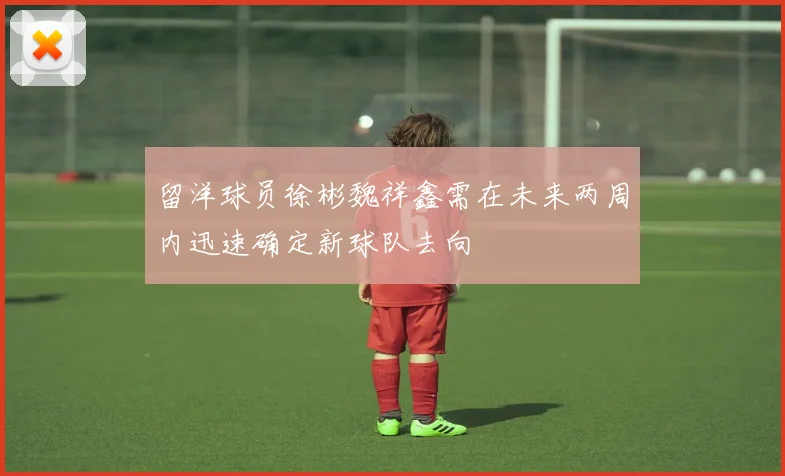 留洋球员徐彬魏祥鑫需在未来两周内迅速确定新球队去向